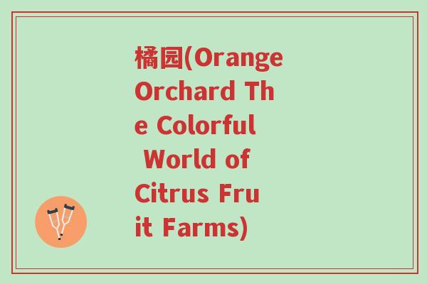 橘园(Orange Orchard The Colorful World of Citrus Fruit Farms)