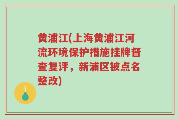 黄浦江(上海黄浦江河流环境保护措施挂牌督查复评，新浦区被点名整改)